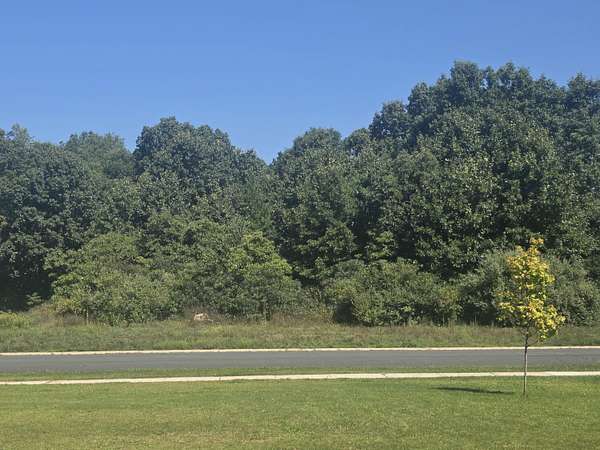 0.63 Acres of Residential Land for Sale in Kalamazoo, Michigan