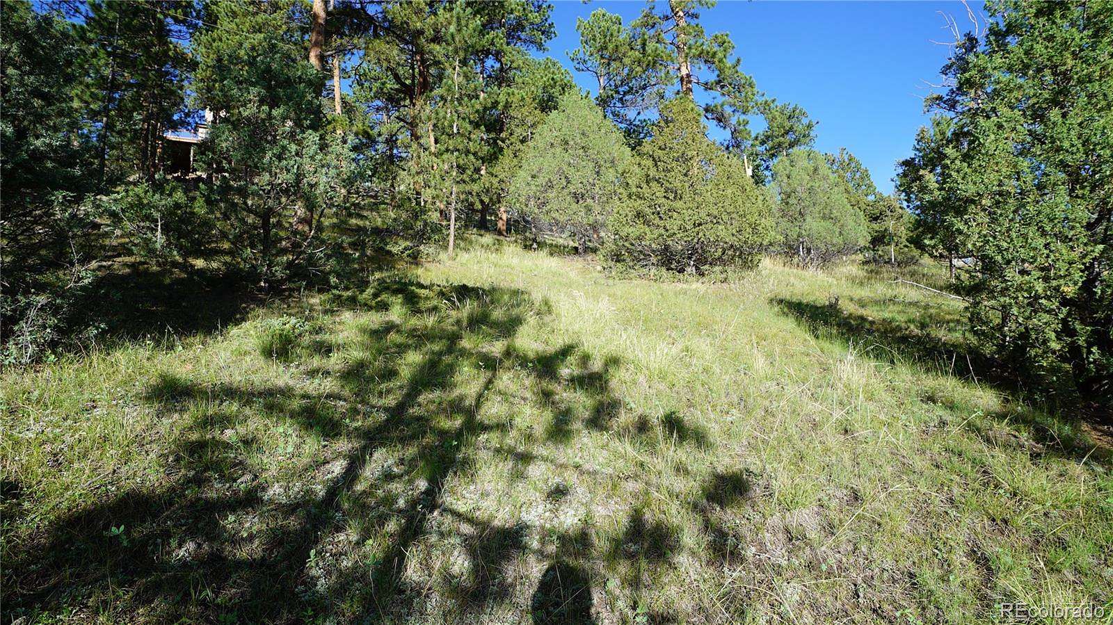 0.9 Acres of Residential Land for Sale in Bailey, Colorado