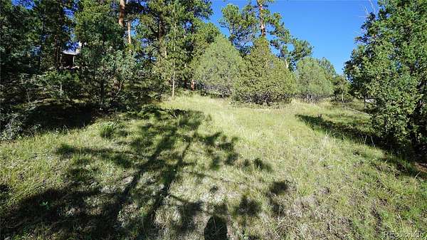 0.9 Acres of Residential Land for Sale in Bailey, Colorado