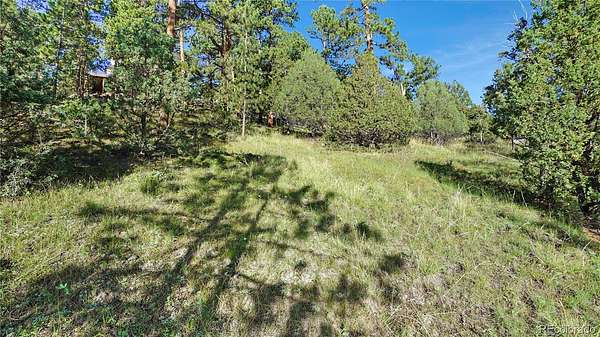0.9 Acres of Residential Land for Sale in Bailey, Colorado