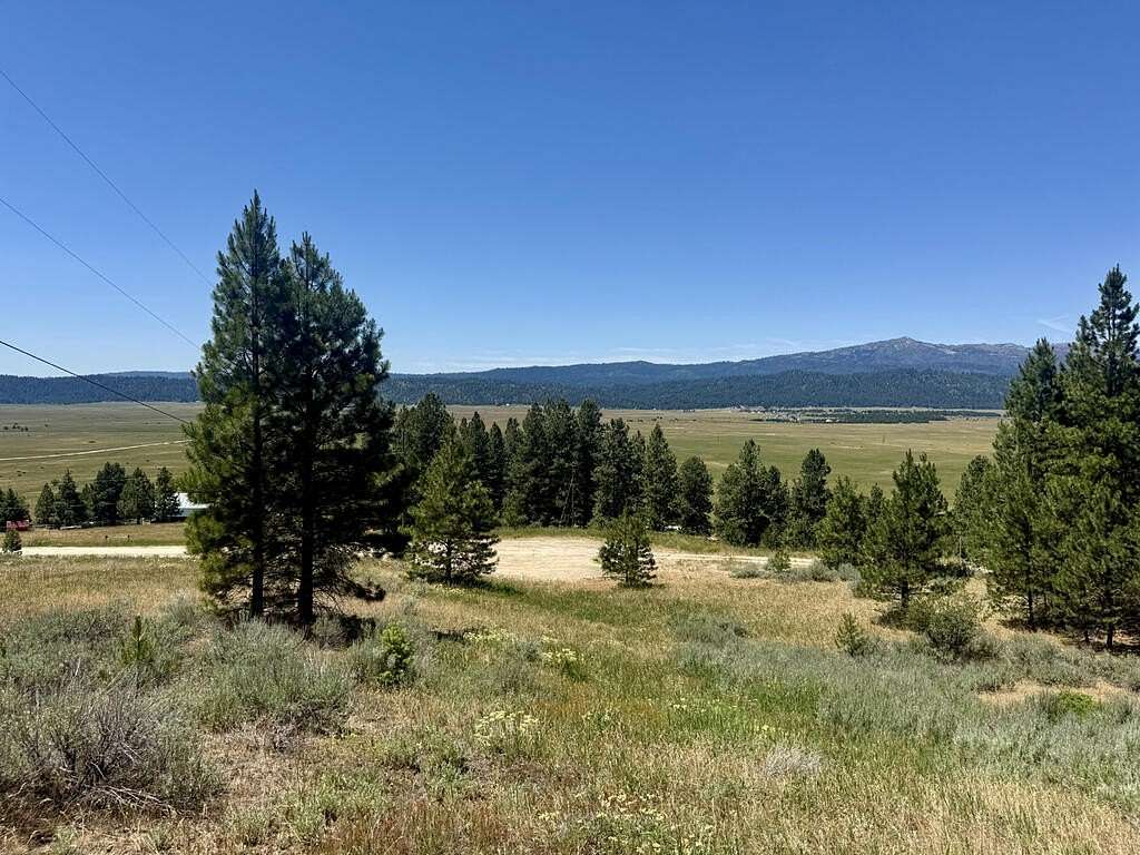 3.33 Acres of Land for Sale in Cascade, Idaho