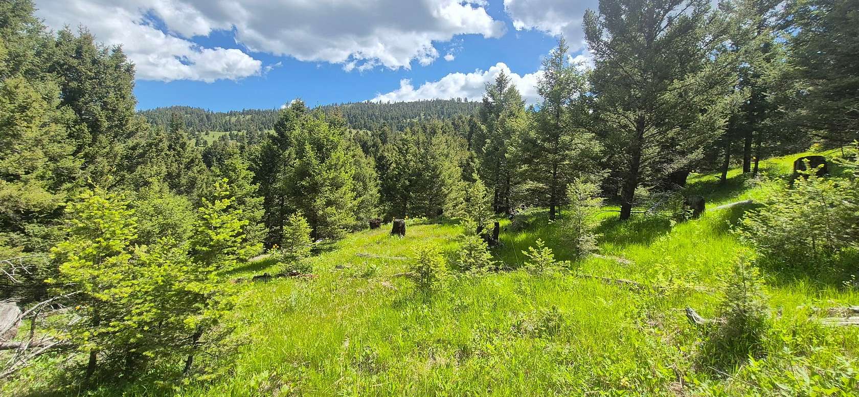 40 Acres of Recreational Land for Sale in Helmville, Montana