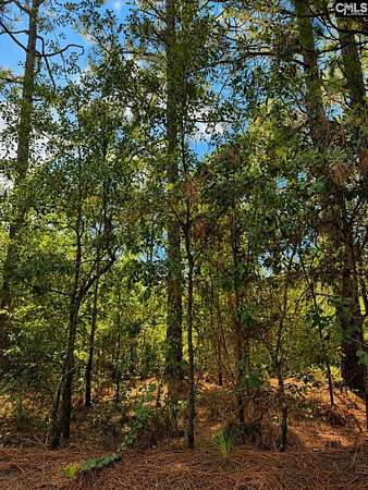 15.5 Acres of Land for Sale in Leesville, South Carolina