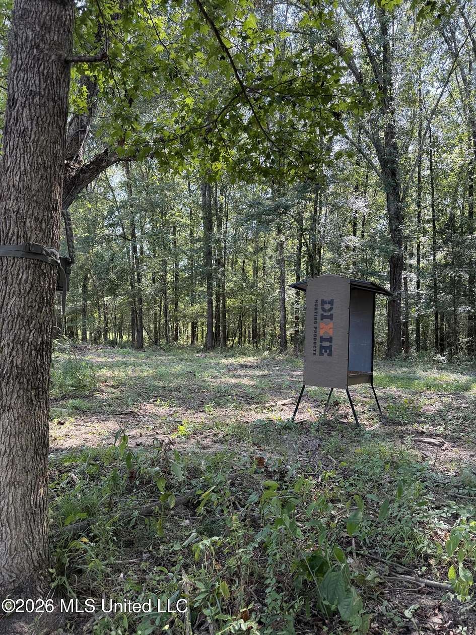185 Acres of Recreational & Residential Land for Sale in Canton, Mississippi