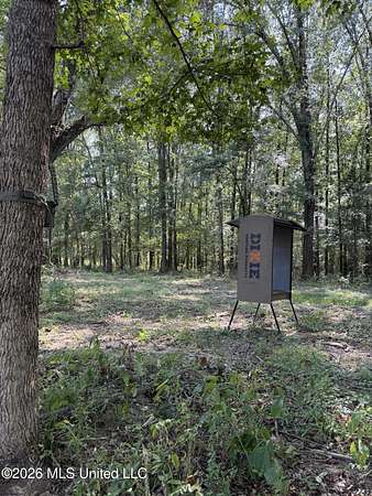 185 Acres of Recreational & Residential Land for Sale in Canton, Mississippi