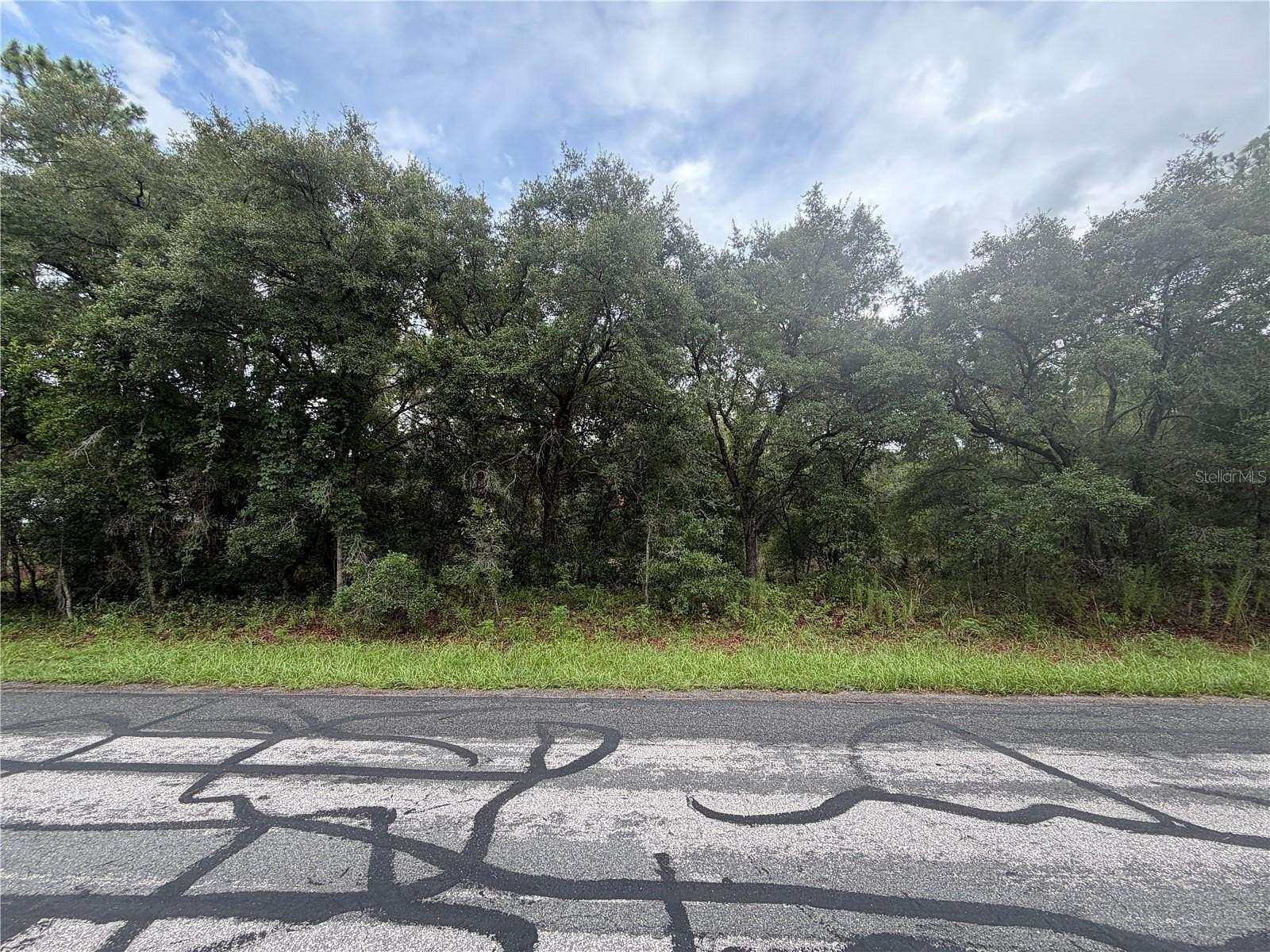 1 Acre of Residential Land for Sale in Hernando, Florida