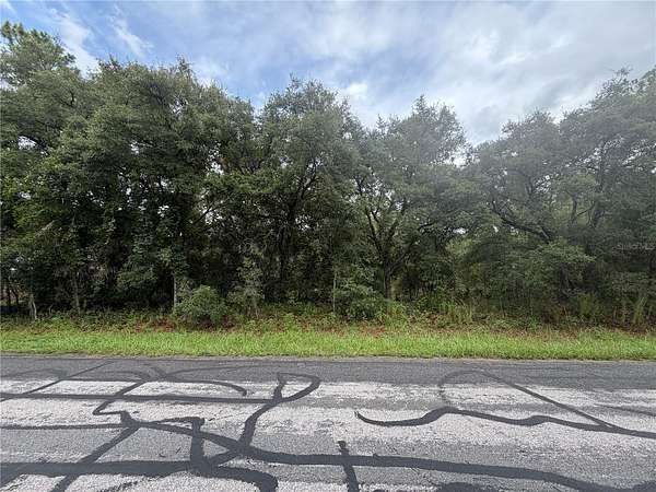 1 Acre of Residential Land for Sale in Hernando, Florida