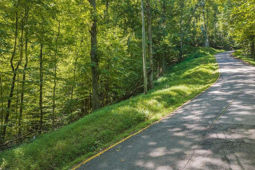 0.6 Acres of Residential Land for Sale in Ellijay, Georgia