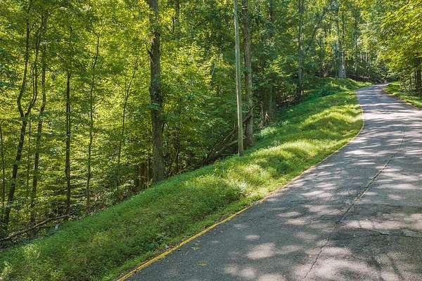 0.6 Acres of Residential Land for Sale in Ellijay, Georgia