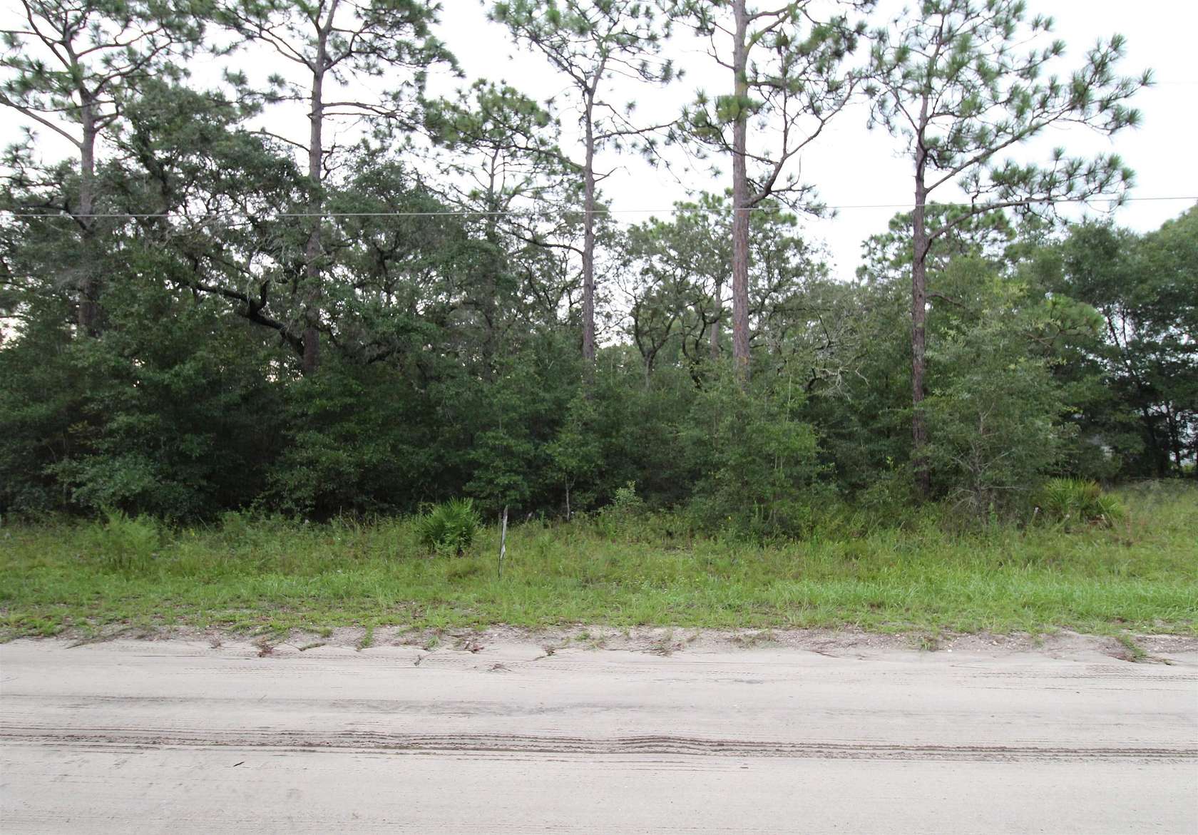 0.99 Acres of Land for Sale in Panacea, Florida