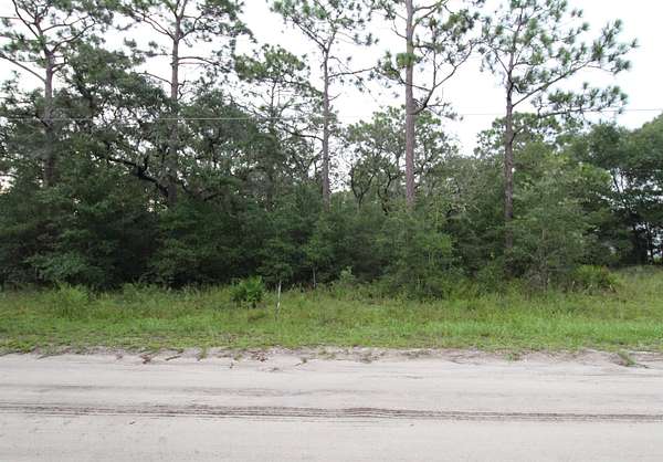 0.99 Acres of Land for Sale in Panacea, Florida