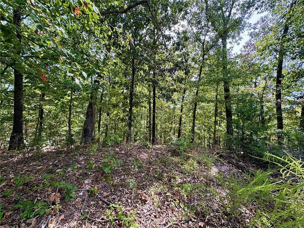 0.36 Acres of Residential Land for Sale in Bella Vista, Arkansas