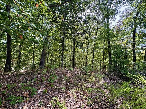 0.36 Acres of Residential Land for Sale in Bella Vista, Arkansas