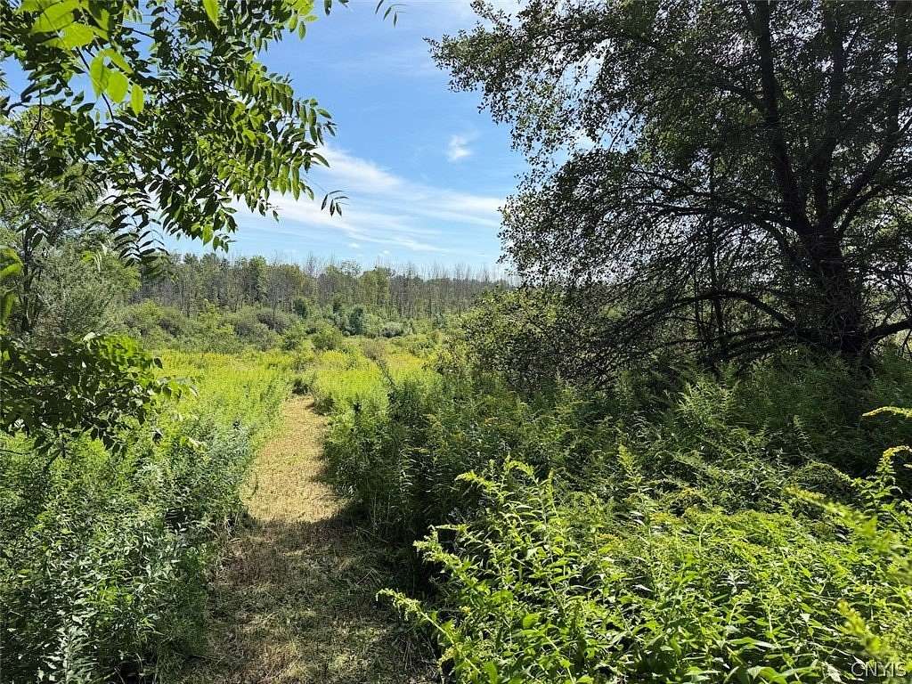 6 Acres of Residential Land for Sale in South Dayton, New York