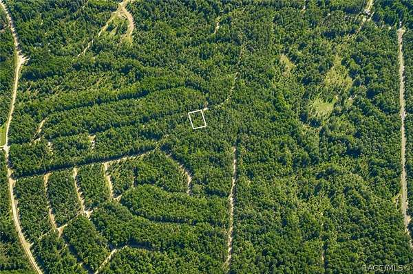 0.24 Acres of Residential Land for Sale in Dunnellon, Florida
