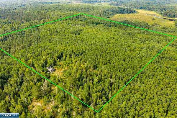 40 Acres of Recreational Land for Sale in Cook, Minnesota