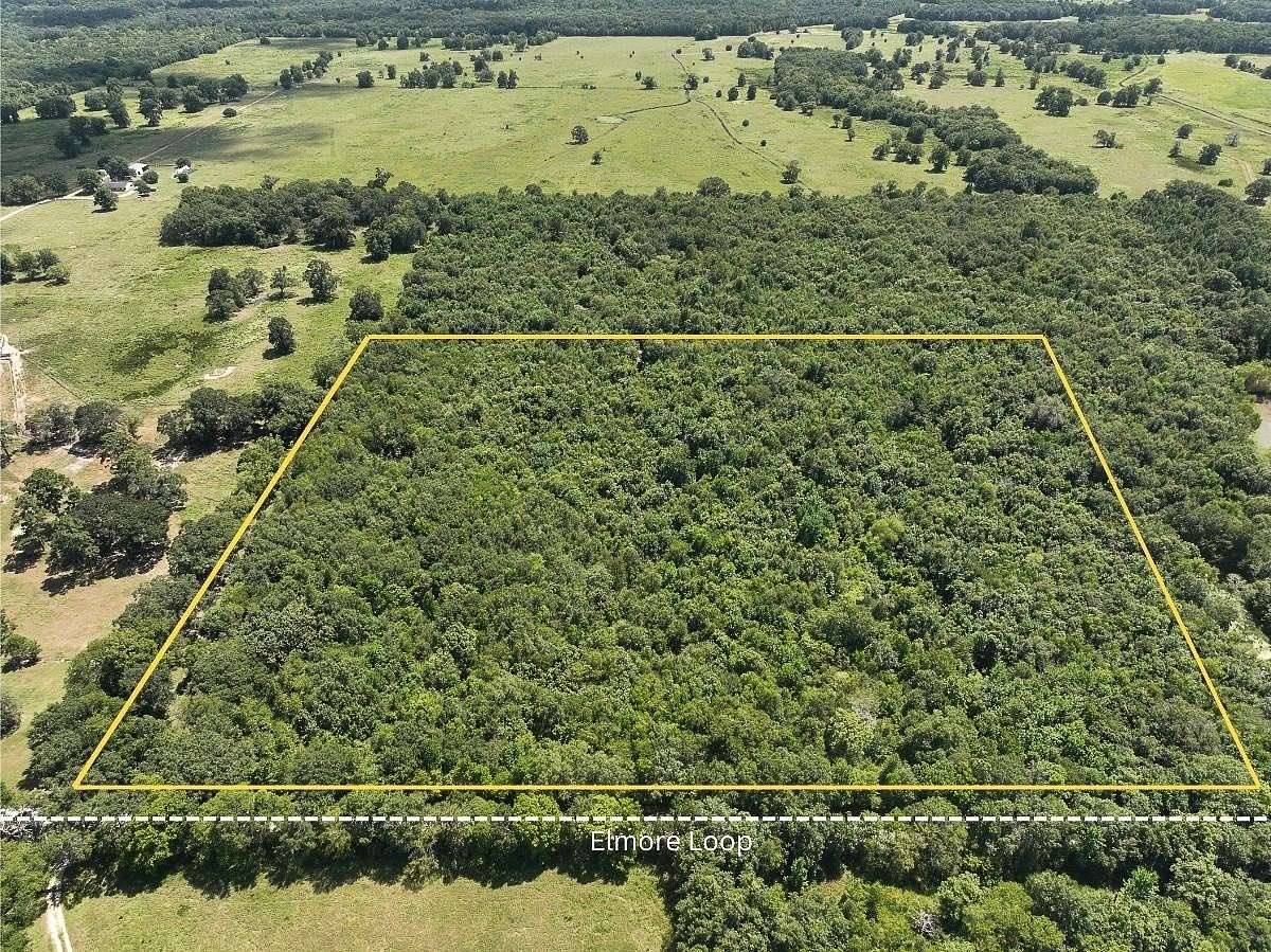 20 Acres of Recreational & Residential Land for Sale in Shepherd, Texas