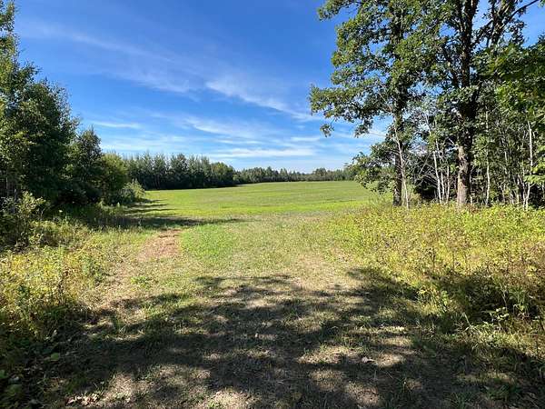 80 Acres of Agricultural Land for Sale in Finlayson, Minnesota