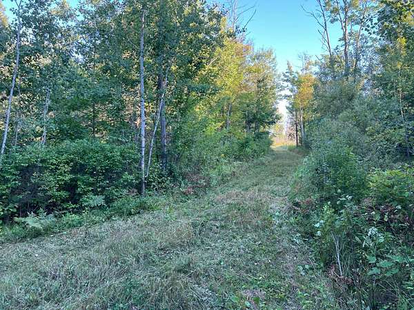 80 Acres of Agricultural Land for Sale in Finlayson, Minnesota