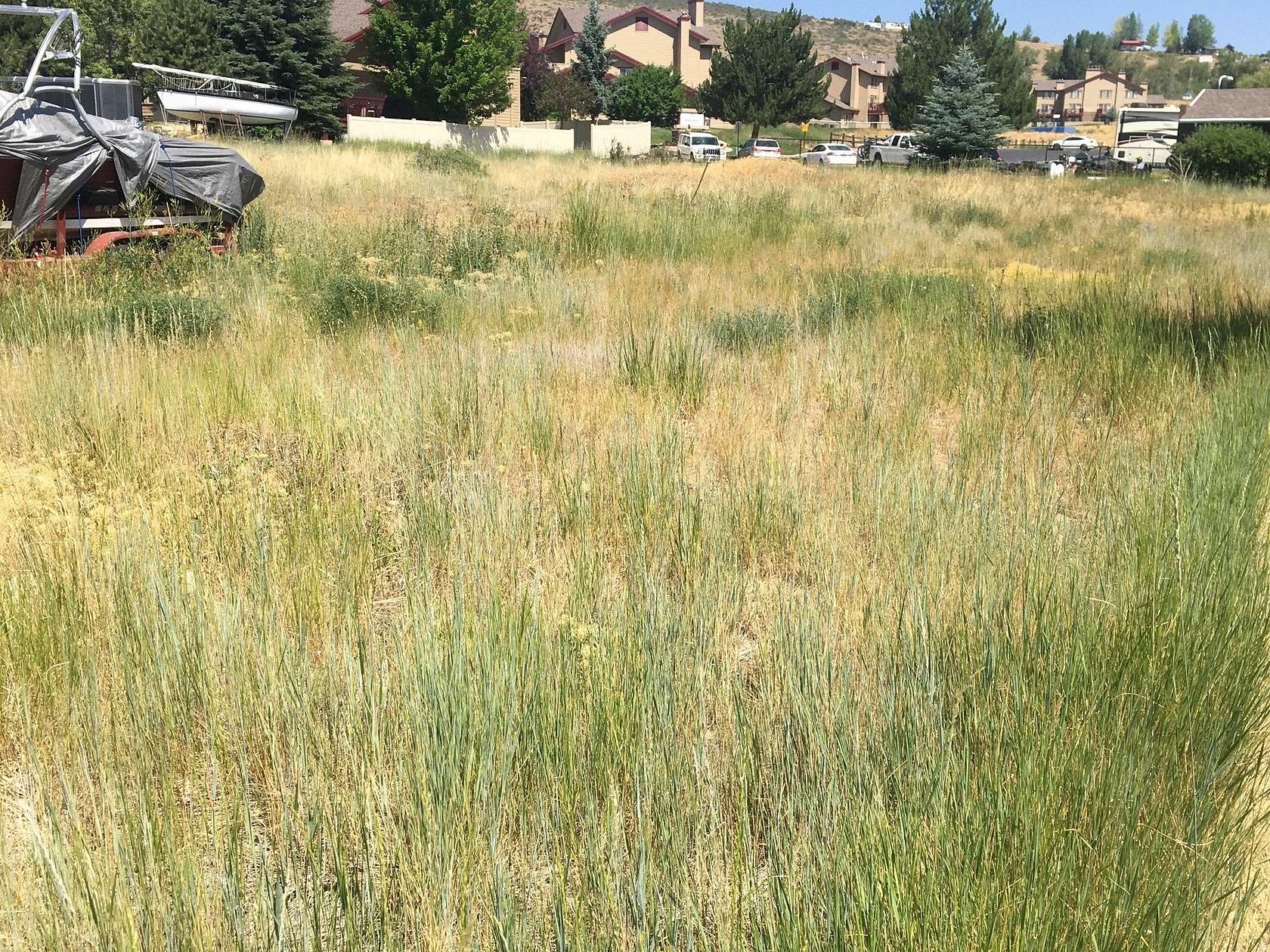 0.3 Acres of Residential Land for Sale in Garden City, Utah