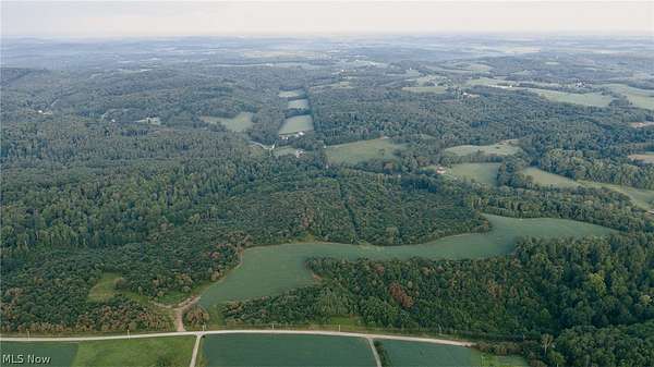 80 Acres of Recreational Land for Auction in Salineville, Ohio