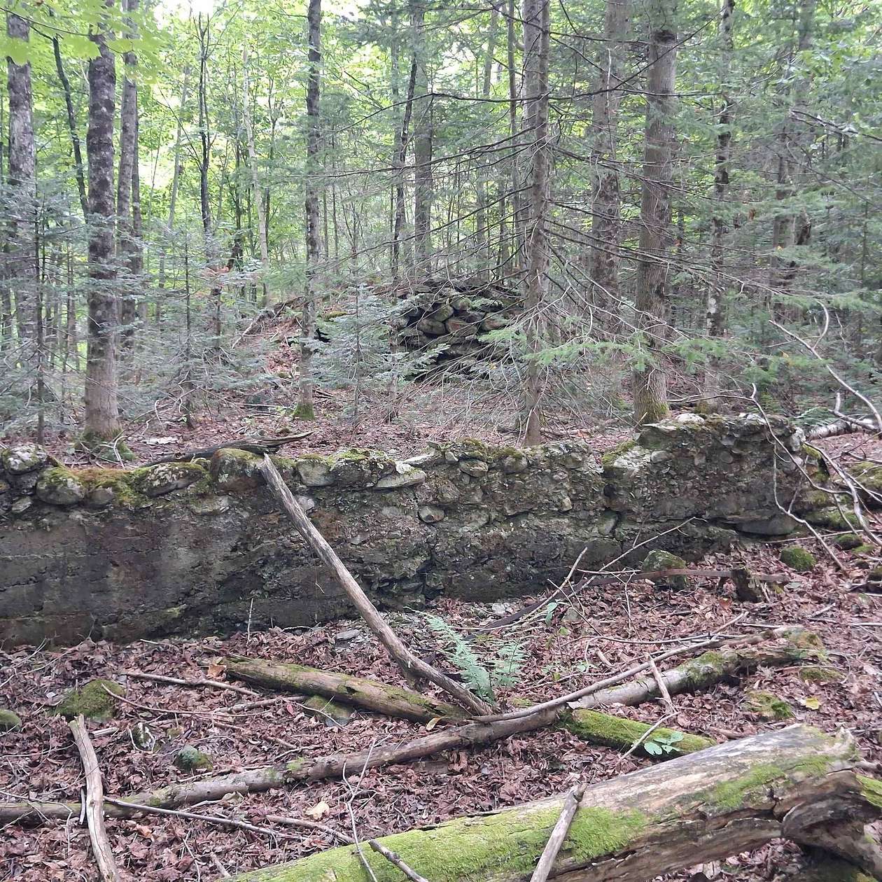 24.7 Acres of Recreational Land for Sale in Eden, Vermont