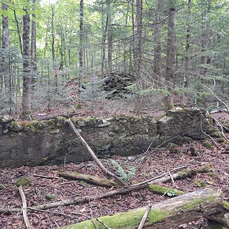 24.7 Acres of Recreational Land for Sale in Eden, Vermont