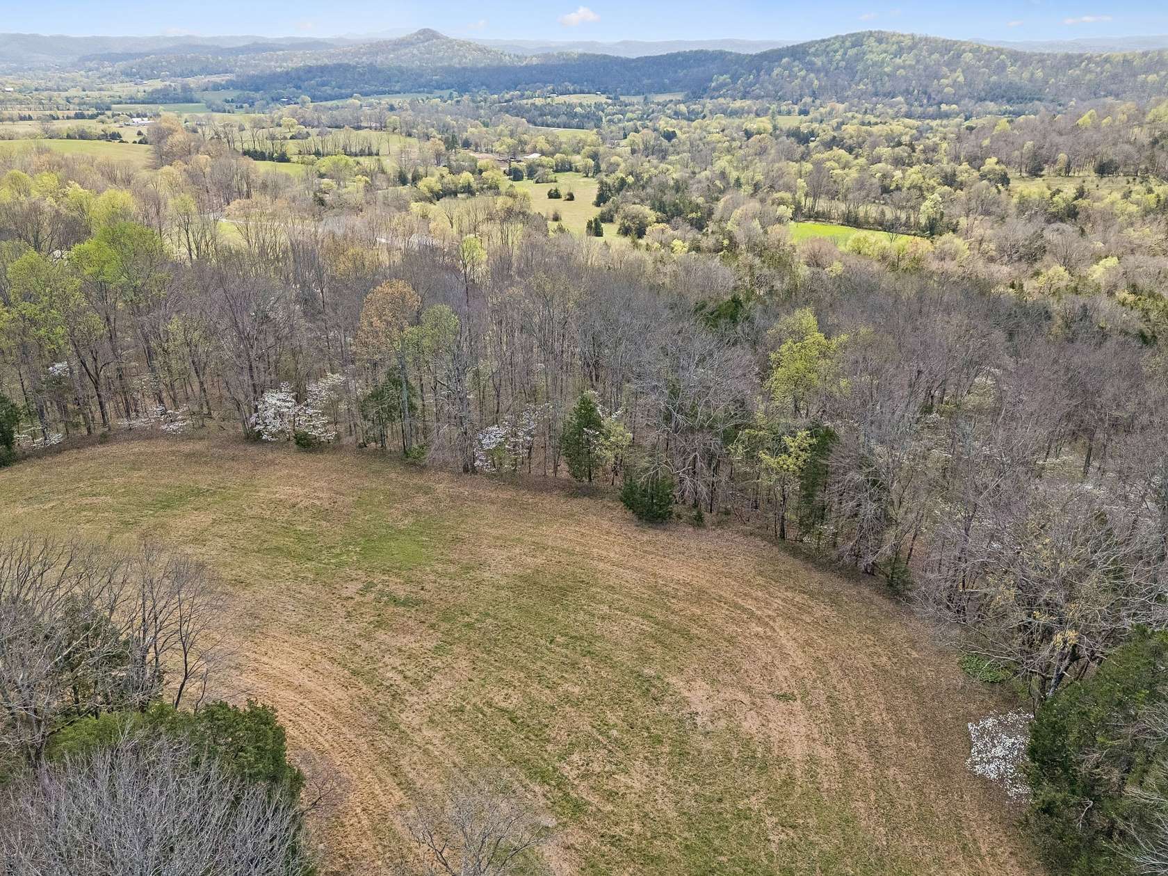 77.7 Acres of Land for Sale in Auburntown, Tennessee