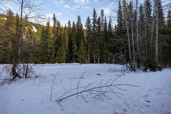 1.5 Acres of Residential Land for Sale in Government Camp, Oregon