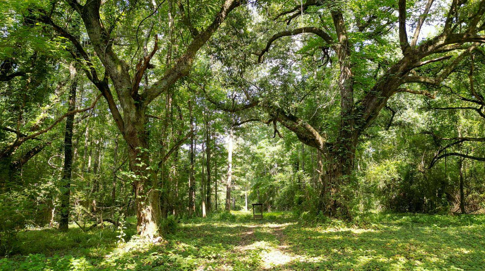 61 Acres of Recreational Land for Sale in Foxworth, Mississippi