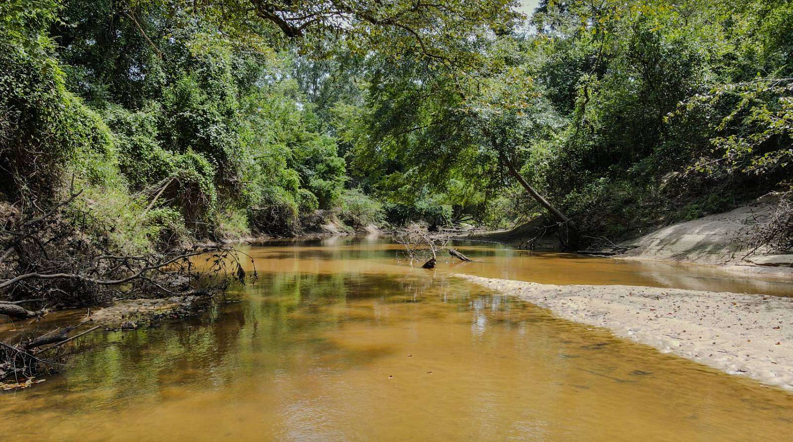 50 Acres of Recreational Land for Sale in Laurel, Mississippi