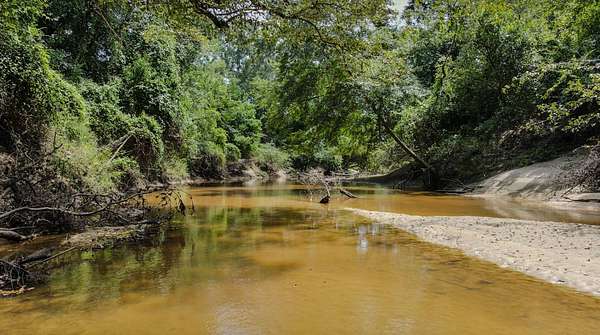 50 Acres of Recreational Land for Sale in Laurel, Mississippi