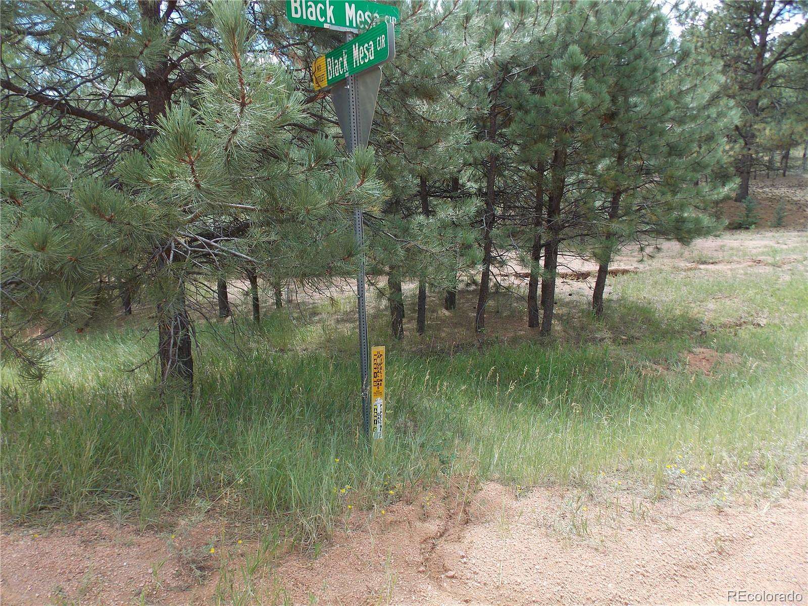 2 Acres of Residential Land for Sale in Florissant, Colorado