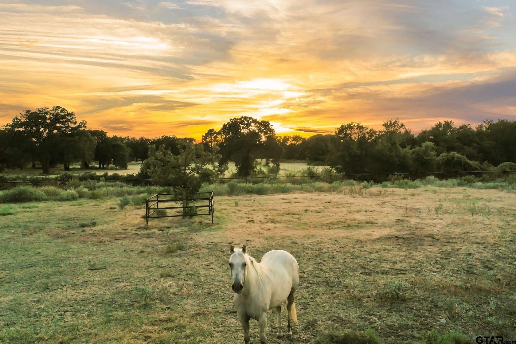 49.6 Acres of Land with Home for Sale in Boyd, Texas