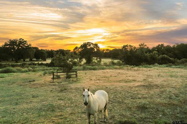 49.6 Acres of Land with Home for Sale in Boyd, Texas