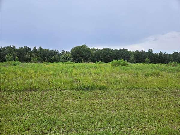 1.78 Acres of Residential Land for Sale in Zephyrhills, Florida