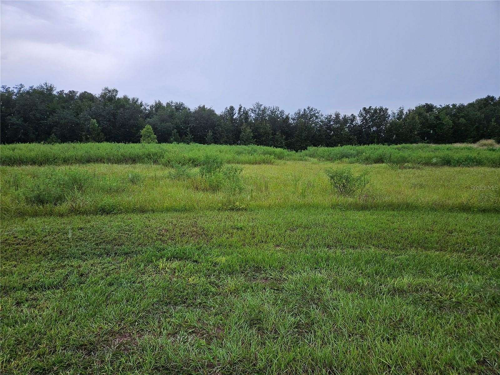 2 Acres of Residential Land for Sale in Zephyrhills, Florida