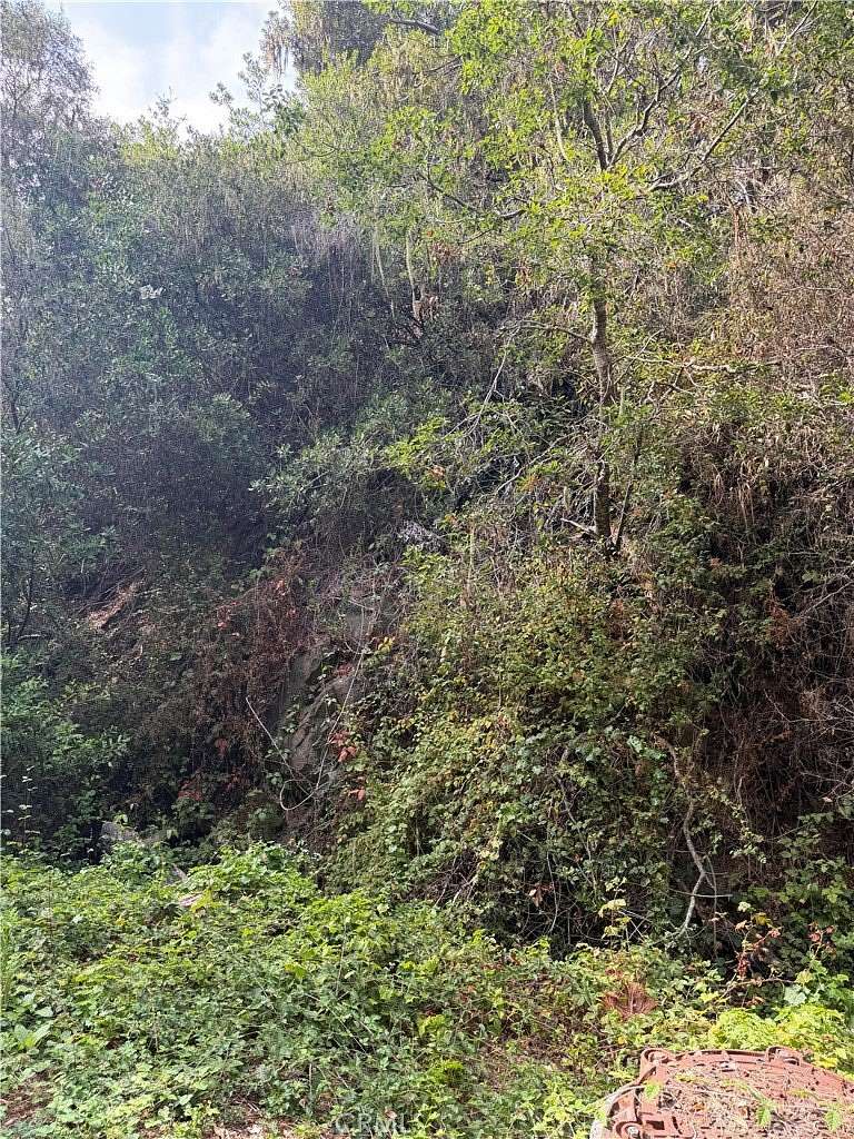 0.1 Acres of Land for Sale in Cambria, California