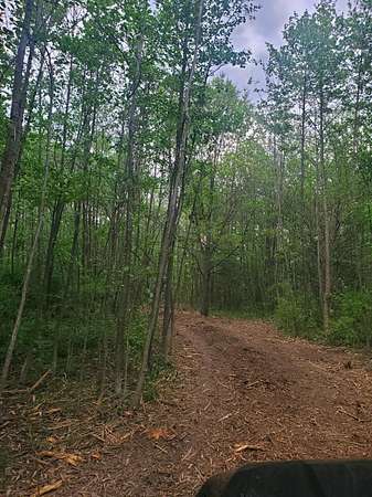 5 Acres of Residential Land for Sale in Crown Point, Indiana