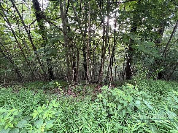2 Acres of Land for Sale in Laurel Springs, North Carolina