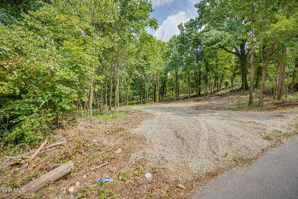 1.18 Acres of Residential Land for Sale in Kingsport, Tennessee