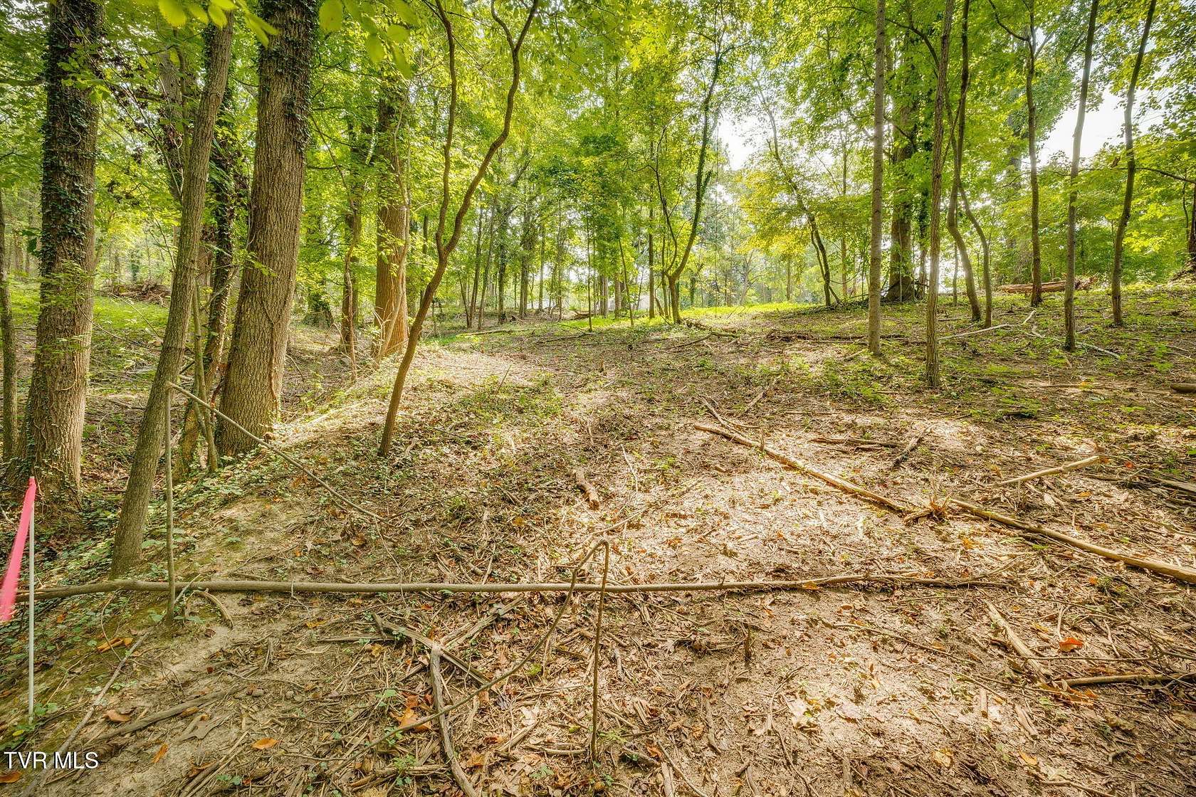 0.42 Acres of Residential Land for Sale in Kingsport, Tennessee