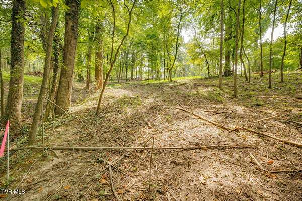 0.42 Acres of Residential Land for Sale in Kingsport, Tennessee