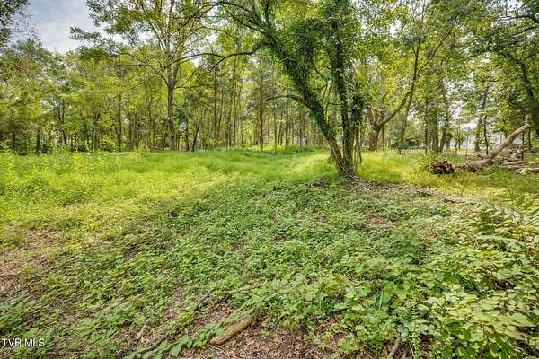 0.43 Acres of Residential Land for Sale in Kingsport, Tennessee