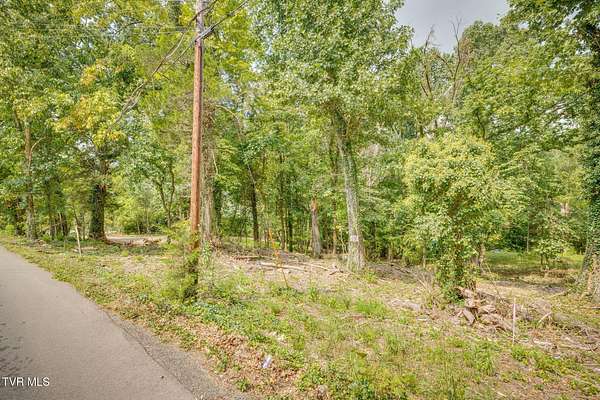 0.44 Acres of Residential Land for Sale in Kingsport, Tennessee