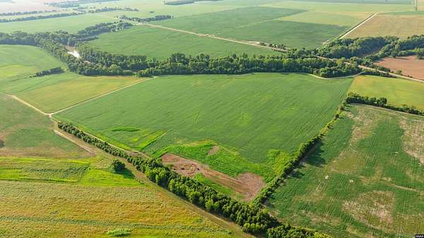 66.2 Acres of Land for Sale in Finley, Tennessee