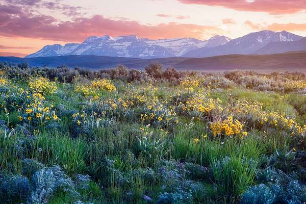 9 Acres of Agricultural Land for Sale in Marion, Utah
