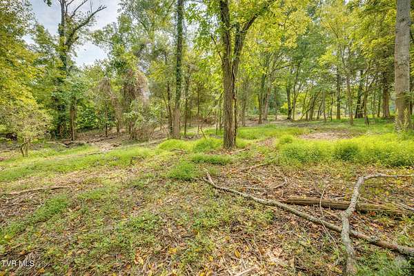 0.43 Acres of Residential Land for Sale in Kingsport, Tennessee