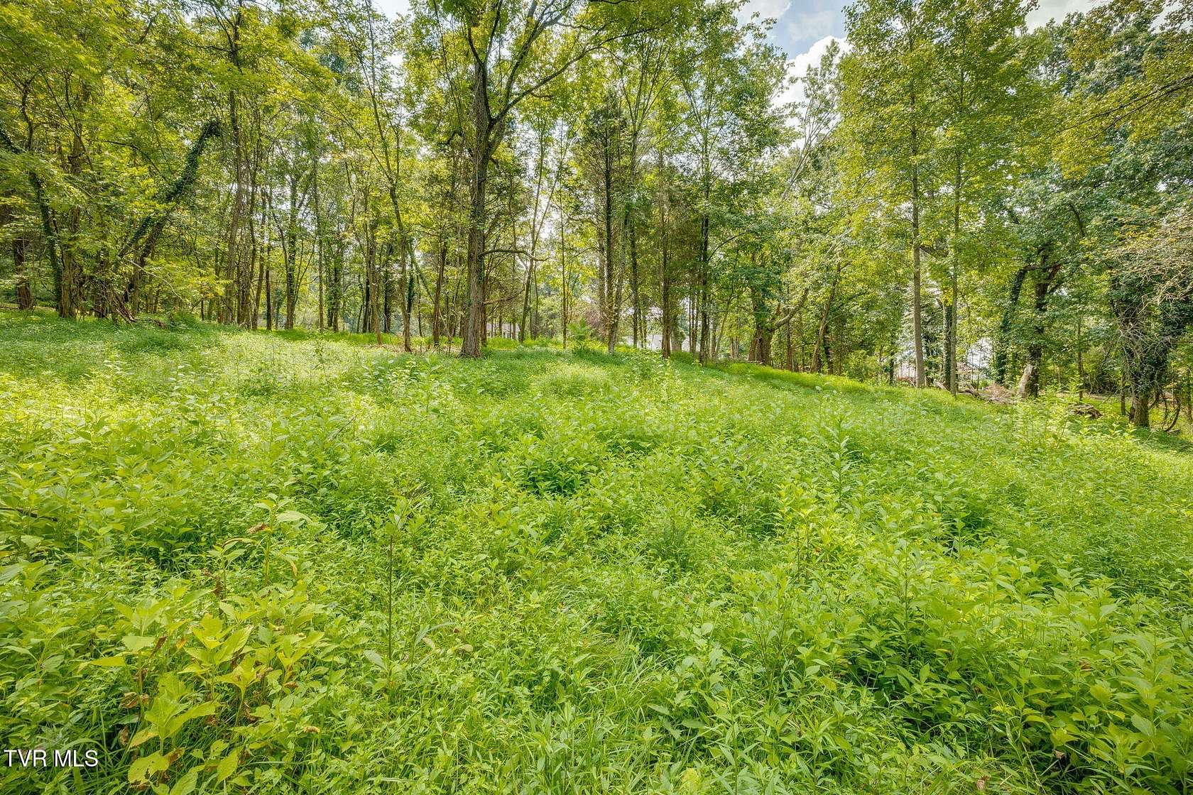 1.65 Acres of Residential Land for Sale in Kingsport, Tennessee