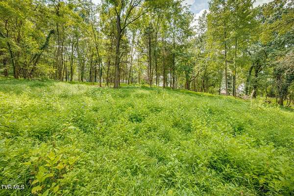 1.65 Acres of Residential Land for Sale in Kingsport, Tennessee